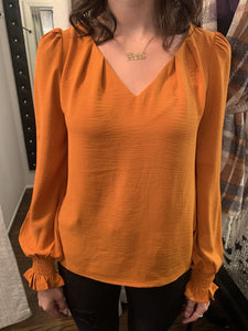 Rust V neck Blouse with Ruched Sleeve