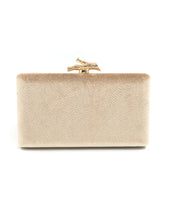 Load image into Gallery viewer, Velvet Clutch