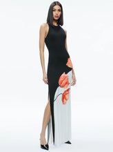 Load image into Gallery viewer, Pania Racer Neck Maxi Dress