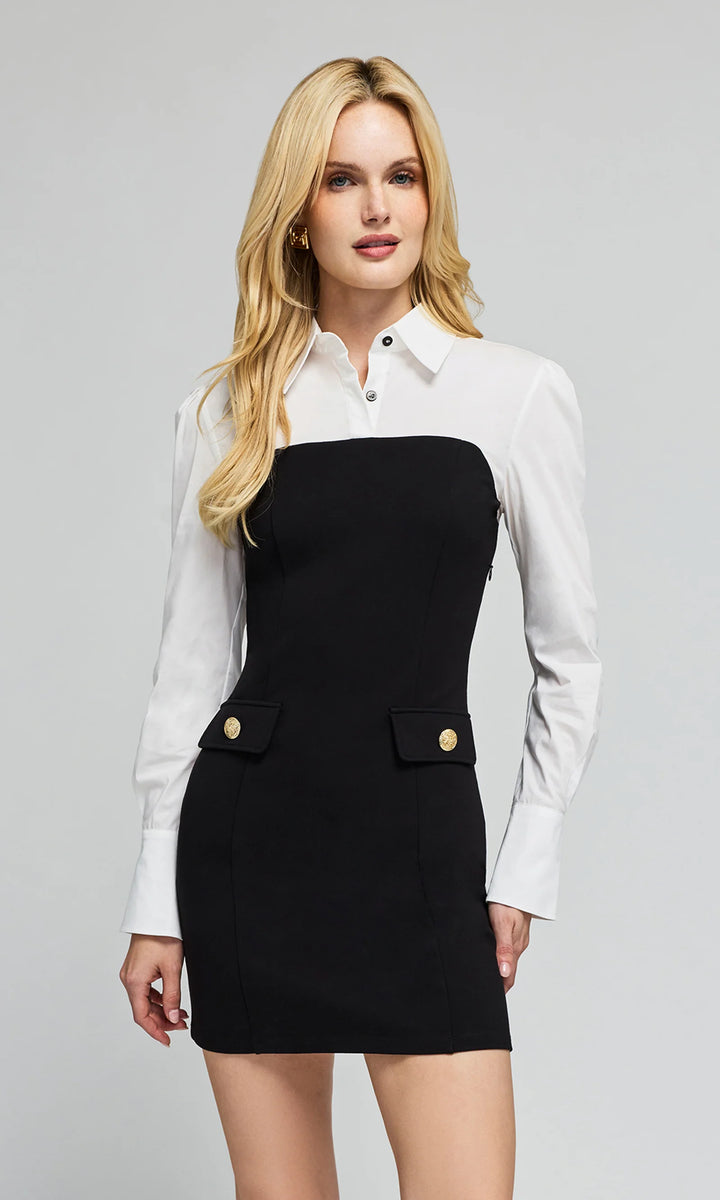 Jacqueline Poplin Combo Dress